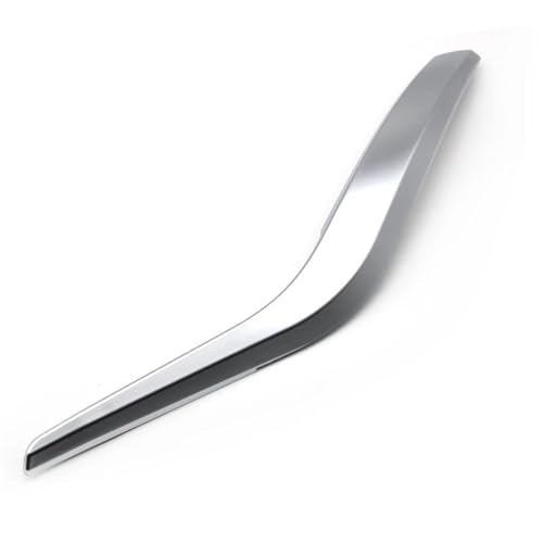 OPYJRL Auto Innentür Links Rechts Pull Griff Äußere Abdeckung Trim Ersatz Für BMW X1 E84 2010-2016(Silver Left) von OPYJRL