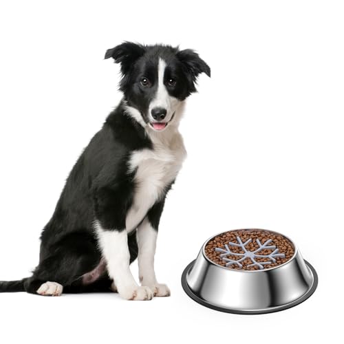 OQIMAX Antischlingnapf Hunde, Anti Schling Napf Hundenapf Einfügung & Futternapf für Dog 2 in 1, Rutschfester Hundenapf, Kieselgel Futternapf Einfügung für Hunde Katzen, Haustier Slow Feeder von OQIMAX