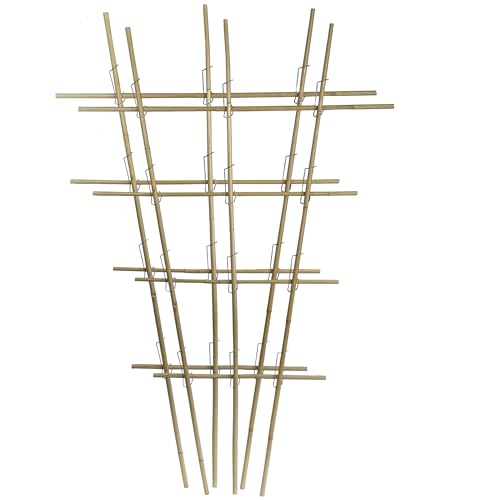 Rankgitter Bambus - 2x1mx64cm Rankhilfe Kletterhilfe für Balkon und Blumentopf für Blumen, Rosen, Tomate, Himbeeren -10 x 1m Tonkinstäbe (8-10mm Ø) + 25 Tonkinklammern (8-16mm) von ORANGE DEAL