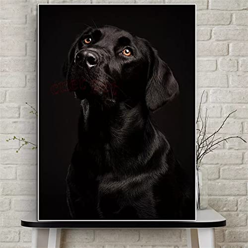 5D Diamond Painting Bilder Round Drill Schwarzer Labrador-Hund 40x60cm Diamant Painting Malen nach Zahlen Set Full Drill Crystal Rhinestones Kreuzstich Arts Crafts for Home Wand Dekoration Geschenk von ORBANA