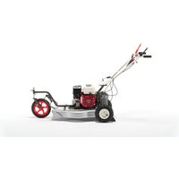 Selbstfahrender Böschungsmäher OREC SH 50 C GX160 HONDA Motor 50cm Schnitt Selbstfahrender Böschungsmäher OREC SH 50 C GX160 HONDA Motor 50cm Schnitt von OREC