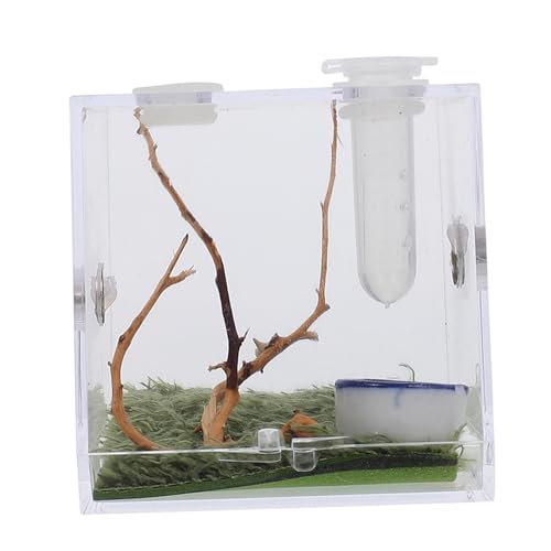ORFOFE 1 Satz Springspinnen-zuchtbox Gecko-zubehör Spinnenkäfig Schneckenlebensraum Containerhaus Für Schnecken Schneckenbecken Critter Insektenkäfig Terrarienkäfig Für Reptilien Acryl ORFOFE 1 Satz Springspinnen-zuchtbox Gecko-zubehör Spinnenkäfig Schneckenlebensraum Containerhaus Für Schnecken Schneckenbecken Critter Insektenkäfig Terrarienkäfig Für Reptilien Acryl von ORFOFE