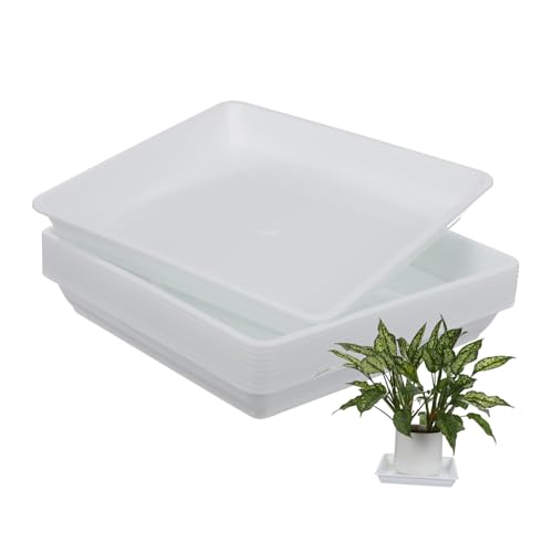 ORFOFE 10 Stück Teiliges Quadratische Pflanzenuntersetzer aus Robustem Resin Hitzebeständig für Drinnen und Draußen als Pflanzenschale und Abtropfwanne Weiß ORFOFE 10 Stück Teiliges Quadratische Pflanzenuntersetzer aus Robustem Resin Hitzebeständig für Drinnen und Draußen als Pflanzenschale und Abtropfwanne Weiß von ORFOFE