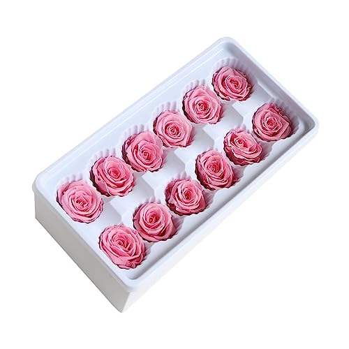 ORFOFE Rosenblüten 12 Stück/Box Konservierte Blumen Hochzeitsdekoration Rosa Set Künstliche Rosen Mini-Kunstrosen Set Für Hochzeit Unsterbliche Blumen Hochzeitssets Konservierte von ORFOFE