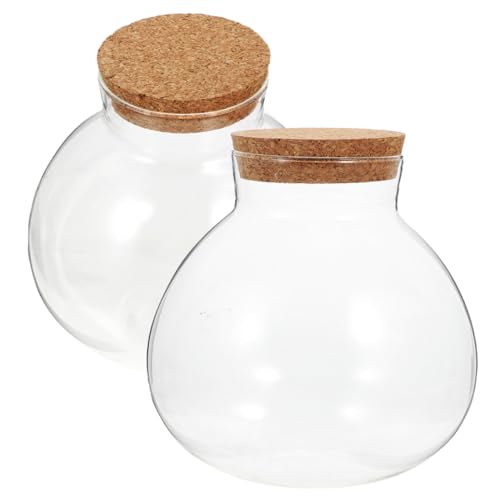 ORFOFE 2 Stück Runde Glas Mikrolandschaftsflaschen mit Korkverschluss Transparente DIY Ökoflaschen für Moos und Landschaften Dekorative Glasgefäße für Zuhause und Bastelprojekte von ORFOFE