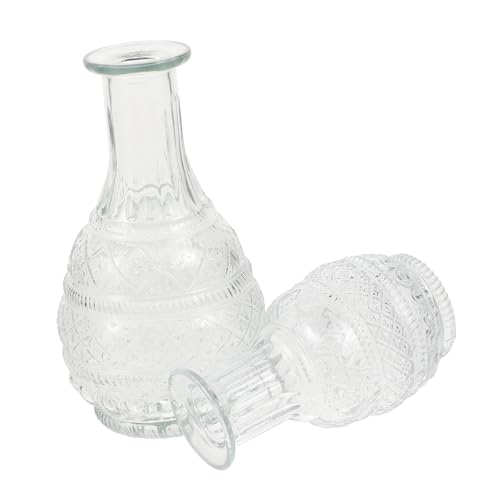 ORFOFE 2 Stück Transparente Glasvase Vintage Hydroponik Vase für Wohnzimmer Deko Glasvasen Tischdeko Kleine Vasen für Blumen und Pflanzen Robust Langlebig Stilvolle Wohnaccessoires von ORFOFE