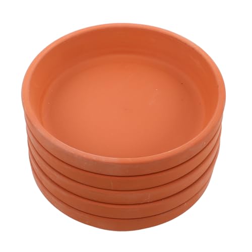 ORFOFE 5 Stück Terracotta Untersetzer mit Abflussloch Langlebige Wasserfänger für Gesunde Pflanzen für und Außenbereiche ORFOFE 5 Stück Terracotta Untersetzer mit Abflussloch Langlebige Wasserfänger für Gesunde Pflanzen für und Außenbereiche von ORFOFE