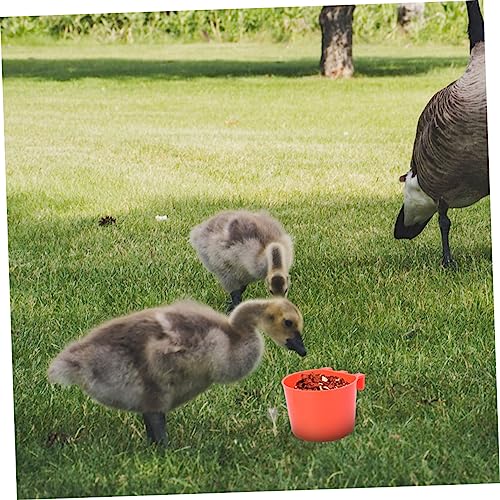 ORFOFE 8 Stück Teiliges Vogel Futternapf mit Halterung Bruchsichere Futterschalen für Papageien Tauben Kaninchen Vielseitig Einsetzbar für Vogelkäfige und Kleintierhaltung ORFOFE 8 Stück Teiliges Vogel Futternapf mit Halterung Bruchsichere Futterschalen für Papageien Tauben Kaninchen Vielseitig Einsetzbar für Vogelkäfige und Kleintierhaltung von ORFOFE