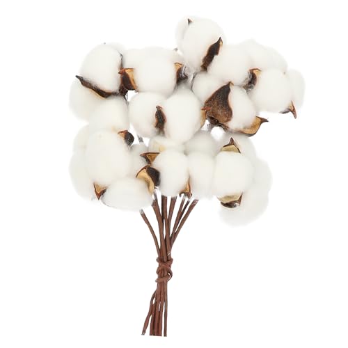 ORFOFE Getrockneter Baumwollzweig Weiß Dekorativer Trockenflor DIY Festliche Tischdeko Langlebig Robust Für Weihnachten Hochzeit Fotografie Und Wohnkultur von ORFOFE