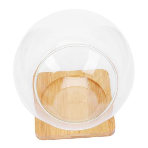 ORFOFE Glas Mikrolandschaftsvase Rund Schräger mit Bambusuntersetzer Multifunktionale Aufbewahrung für Sukkulenten Hydroponik DIY Terrarien Dekorative Steinschale von ORFOFE