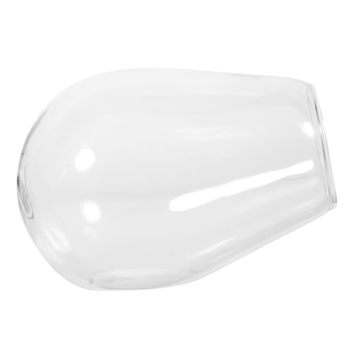 ORFOFE Glas Terrarium Vase Transparent DIY Ökosystem Pflanzgefäß für Mikrolandschaften Robust Stilvoll Natürliche Deko Innenbereich von ORFOFE