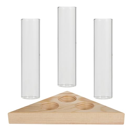 ORFOFE Glasvase mit Dreieckigem Holzständer Dekorative Desktop Vase aus Glas für Hydroponik Pflanzen Eleganter Blumenhalter für Tischdeko und Wohnraumgestaltung von ORFOFE