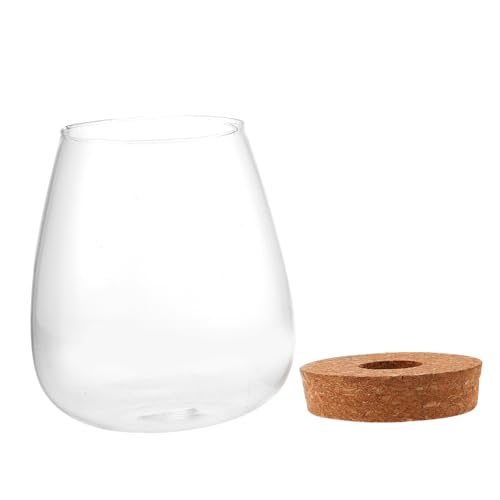 ORFOFE Hydroponische Glasflasche Dekoratives Terrarium mit Mooslandschaft DIY Mikrolandschaft Pflanzgefäß Kompakte Transparent Kratzfest Vielseitig für Wohn und Arbeitsräume ORFOFE Hydroponische Glasflasche Dekoratives Terrarium mit Mooslandschaft DIY Mikrolandschaft Pflanzgefäß Kompakte Transparent Kratzfest Vielseitig für Wohn und Arbeitsräume von ORFOFE
