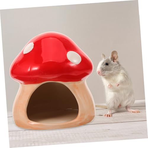 ORFOFE Keramik Hamsterhaus Pilzförmiges Versteck Kühles Nest für Zwerghamster und Kleine Haustiere Privater Rückzugsort Ganzjährig Nutzbar Langlebiges Sicheres Tonmaterial ORFOFE Keramik Hamsterhaus Pilzförmiges Versteck Kühles Nest für Zwerghamster und Kleine Haustiere Privater Rückzugsort Ganzjährig Nutzbar Langlebiges Sicheres Tonmaterial von ORFOFE