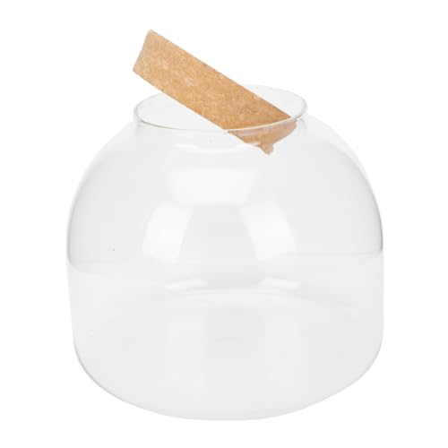 ORFOFE Micro Landschaft DIY Flasche Glasbehälter für -ökosysteme Robustes Bruchsicheres Material Glatte Oberfläche für Wohn Bürodekoration Vielseitig für Kreative Pflanzenarrangements ORFOFE Micro Landschaft DIY Flasche Glasbehälter für -ökosysteme Robustes Bruchsicheres Material Glatte Oberfläche für Wohn Bürodekoration Vielseitig für Kreative Pflanzenarrangements von ORFOFE