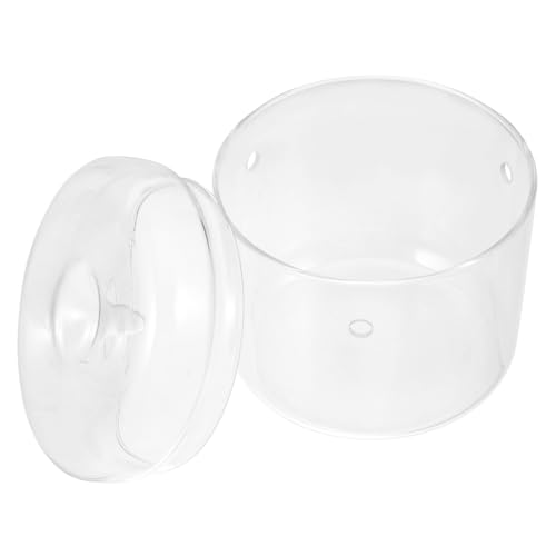 ORFOFE Mini Terrarium Glasflasche für Mooslandschaft DIY Micro Landscape Bottle Transparent Pflanzenterrarium für Büro Wohnraum Dekoration Ökologische biotopgestaltung ORFOFE Mini Terrarium Glasflasche für Mooslandschaft DIY Micro Landscape Bottle Transparent Pflanzenterrarium für Büro Wohnraum Dekoration Ökologische biotopgestaltung von ORFOFE