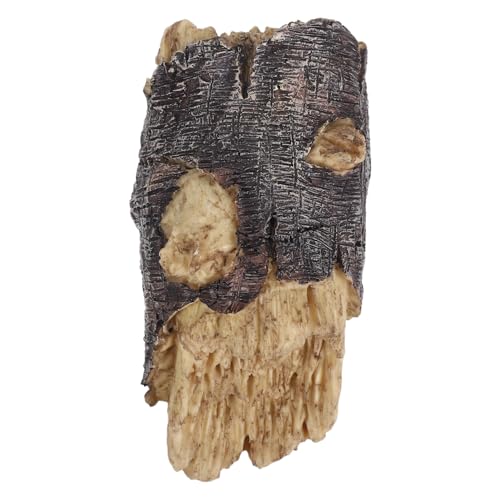 ORFOFE Realistisches Fake Branch Schlüsselversteck aus Robustem Harz Wetterfestes Gartendekor für Außenbereich Unauffälliger Schlüsselhalter als Tarnung für Zufällige Zufällige Farbe ORFOFE Realistisches Fake Branch Schlüsselversteck aus Robustem Harz Wetterfestes Gartendekor für Außenbereich Unauffälliger Schlüsselhalter als Tarnung für Zufällige Zufällige Farbe von ORFOFE