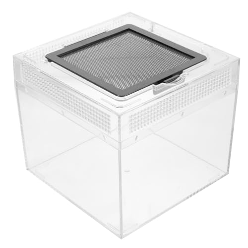 ORFOFE Reptilien Terrarium Futterbox aus Transparentem Langlebigem mit Belüftungslöchern Praktische Aufzuchtbox für Spinnen Echsen und Kleine Reptilien Einfache Reinigung Sicherer ORFOFE Reptilien Terrarium Futterbox aus Transparentem Langlebigem mit Belüftungslöchern Praktische Aufzuchtbox für Spinnen Echsen und Kleine Reptilien Einfache Reinigung Sicherer von ORFOFE