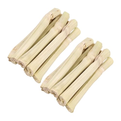ORFOFE Sweet Bamboo Chew Sticks für Kaninchen Meerschweinchen Chinchillas Hamster Zahnpflege aus Sicherem Naturholz für Kleine Nager Langlebig und Leicht zu Reinigen ORFOFE Sweet Bamboo Chew Sticks für Kaninchen Meerschweinchen Chinchillas Hamster Zahnpflege aus Sicherem Naturholz für Kleine Nager Langlebig und Leicht zu Reinigen von ORFOFE