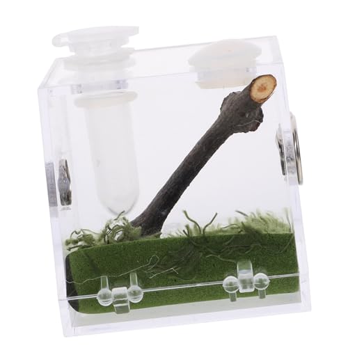ORFOFE Transparente Springspinne Terrarium Box aus Robustem Acryl Leichte Futter Beobachtungsbox für Kleine Reptilien und Insekten Ausbruchsichere Haltung für Vogelspinnen und Geckos von ORFOFE