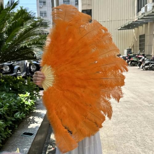 1/2 Stück rosa Straußenfederfächer, Bühnen- und Tanzzubehör, 100 cm, klein, für die Linke und rechte Hand, Federfächer, Orange, 100 cm Links, 2 Stück von ORGEFY