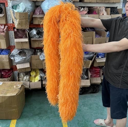 2 3 4 6 10-lagige mehrfarbige Straußenfeder-Boa, 2 Meter, Straußenfeder-Schal für Party, Damenkleid, Kleidung, DIY-Dekoration, Schal, Orange, 10-lagig 2 3 4 6 10-lagige mehrfarbige Straußenfeder-Boa, 2 Meter, Straußenfeder-Schal für Party, Damenkleid, Kleidung, DIY-Dekoration, Schal, Orange, 10-lagig von ORGEFY