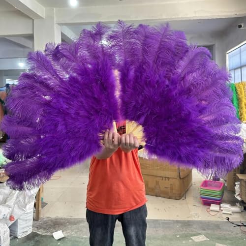 ORGEFY 1/2 Stück rosa Straußenfederfächer, Bühnen- und Tanzzubehör, 100 cm, klein, für die Linke und rechte Hand, Feder-Bastelfächer, Dunkelviolett, 100 cm rechts, 2 Stück ORGEFY 1/2 Stück rosa Straußenfederfächer, Bühnen- und Tanzzubehör, 100 cm, klein, für die Linke und rechte Hand, Feder-Bastelfächer, Dunkelviolett, 100 cm rechts, 2 Stück von ORGEFY