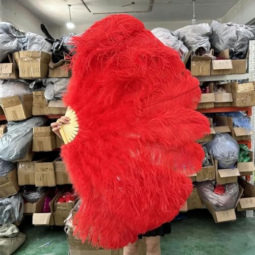 ORGEFY 1/2 Stück rosa Straußenfederfächer, Bühnen- und Tanzzubehör, 100 cm, klein, für die Linke und rechte Hand, Federfächer, Rot, 100 cm rechts, 2 Stück ORGEFY 1/2 Stück rosa Straußenfederfächer, Bühnen- und Tanzzubehör, 100 cm, klein, für die Linke und rechte Hand, Federfächer, Rot, 100 cm rechts, 2 Stück von ORGEFY