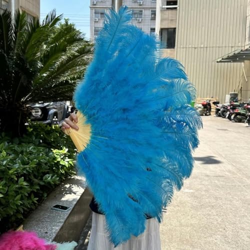 ORGEFY 1/2 Stück rosa Straußenfederfächer, Bühnen- und Tanzzubehör, 100 cm, klein, für die Linke und rechte Hand, Federfächer, Seeblau, 100 cm rechts, 2 Stück ORGEFY 1/2 Stück rosa Straußenfederfächer, Bühnen- und Tanzzubehör, 100 cm, klein, für die Linke und rechte Hand, Federfächer, Seeblau, 100 cm rechts, 2 Stück von ORGEFY