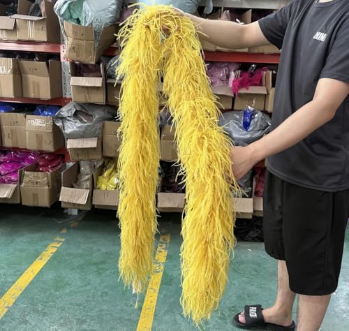 ORGEFY 2 3 4 6 10-lagige mehrfarbige Straußenfeder-Boa, 2 Meter, Straußenfeder-Schal für Party, Damenkleid, Kleidung, DIY-Dekoration, Schal, Golden, 4-lagig ORGEFY 2 3 4 6 10-lagige mehrfarbige Straußenfeder-Boa, 2 Meter, Straußenfeder-Schal für Party, Damenkleid, Kleidung, DIY-Dekoration, Schal, Golden, 4-lagig von ORGEFY
