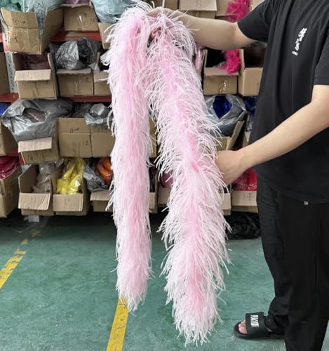 ORGEFY 2 3 4 6 10-lagige mehrfarbige Straußenfederboa, 2 Meter, Straußenfederschal für Party, Damenkleid, Kleidung, DIY-Dekoration, Schal, Hellrosa, 6-lagig ORGEFY 2 3 4 6 10-lagige mehrfarbige Straußenfederboa, 2 Meter, Straußenfederschal für Party, Damenkleid, Kleidung, DIY-Dekoration, Schal, Hellrosa, 6-lagig von ORGEFY