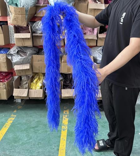 ORGEFY 2 3 4 6 10-lagige mehrfarbige Straußenfederboa, 2 Meter, Straußenfederschal für Party, Damenkleid, Kleidung, DIY-Dekoration, Schal, Königsblau, 6-lagig ORGEFY 2 3 4 6 10-lagige mehrfarbige Straußenfederboa, 2 Meter, Straußenfederschal für Party, Damenkleid, Kleidung, DIY-Dekoration, Schal, Königsblau, 6-lagig von ORGEFY