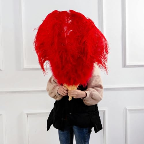 ORGEFY Federfächer, 60 cm, für Tänzer, Karneval, Bühnendekoration, Zubehör, Bastelfedern, Rot, Links, 1 Stück ORGEFY Federfächer, 60 cm, für Tänzer, Karneval, Bühnendekoration, Zubehör, Bastelfedern, Rot, Links, 1 Stück von ORGEFY