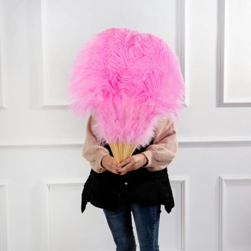 ORGEFY Federfächer, 60 cm, für Tänzer, Karneval, Bühnendekoration, Zubehör, Basteln, Federn, Rosa, Links und rechts ORGEFY Federfächer, 60 cm, für Tänzer, Karneval, Bühnendekoration, Zubehör, Basteln, Federn, Rosa, Links und rechts von ORGEFY