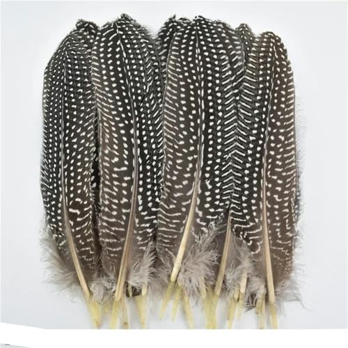 ORGEFY Hühnerpfauenfasanenfeder Kleine Federn zur Schmuckherstellung Bastelzubehör Dekor Traumfänger Dekoration-Größe 12-18CM_a-500 Stück ORGEFY Hühnerpfauenfasanenfeder Kleine Federn zur Schmuckherstellung Bastelzubehör Dekor Traumfänger Dekoration-Größe 12-18CM_a-500 Stück von ORGEFY