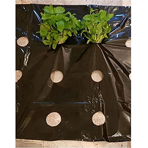 Mulchfolie 5-Loch perforierte PE-Folie für Gewächshäuser 95cm breit 0,02mm stark Landwirtschaft Unkrautbekämpfung Schwarz Mulch Gartengemüsemembrane Pflanzenmulch 1 Stück(20 Meter) von ORICALCHASM