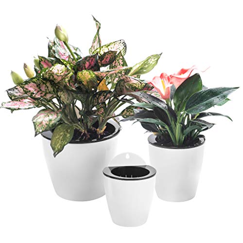 3er-Pack Hängende Pflanzgefäße Selbstbewässernde vertikale Wandmontage Fenster hängen runde Kunststoffbehälter Indoor Outdoor Pflanzen Blumen Küche Living Herbs Holder Dekor Weiß Small+Medium+Large von ORIMERC