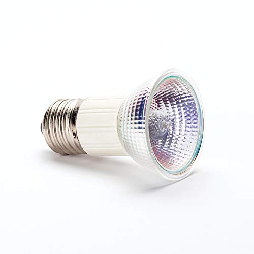ORION LIGHTSTYLE Halogen Reflektorlampe E27 75W Leuchtmittel mit Frontglas Spiegellampe von ORION LIGHTSTYLE