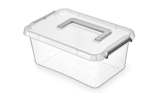 ORPLAST 6 x Nano Box mit Deckel, Clips und Griffen/antibakterielle Wirkung - 4,5 Liter - 29 x 20 x 12cm - Klar/Silber/Glitter von ORPLAST