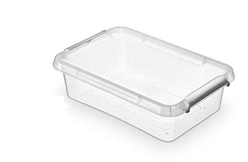 ORPLAST 6 x Nano Box mit Deckel und Clips/antibakterielle Wirkung - 3,1 Liter - 29 x 20 x 8 cm - Klar/Silber/Glitter von ORPLAST