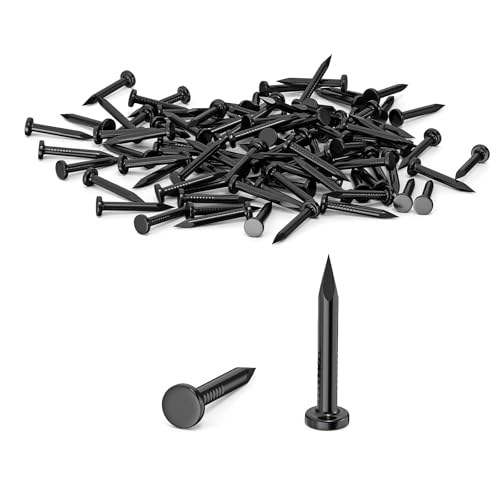 ORTAVA 100 Stück Stahlnägel, Nägel für betonwände, Nails Verzinkt, Nagel Holzarbeiten Ziegelstein, Universelle Einsatzmöglichkeit im Innen- und Außenbereich Schwarz (20mm) von ORTAVA