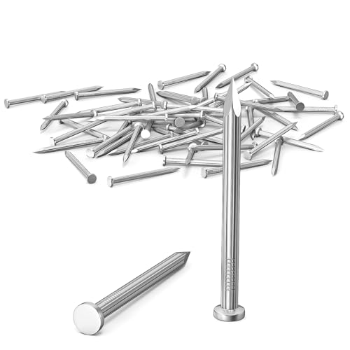 ORTAVA 60 Stück Stahlnägel, Nägel für betonwände, Nails Verzinkt, Nagel Holzarbeiten Ziegelstein, Universelle Einsatzmöglichkeit im Innen- und Außenbereich (50mm) von ORTAVA
