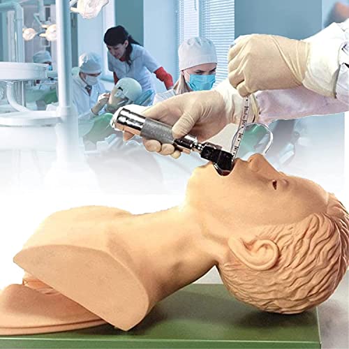 Elektronischer Silikon Airway Management Trainer, elektronischer Silikon Erwachsene Intubation Übungspuppe Unterrichtsmodell, elektronischer Alarm, Tracheal Intubation Trainingssimulator Modell von ORZSSJ
