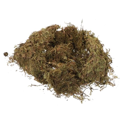 OSALADI 1 Satz Moosbettwäsche Gartenarbeit Getrocknetes Moos Natürliches Moos Zur Dekoration Flechte Moosteppich Live Moos Für Zimmerpflanzen Getrocknetes Moos Für Topfpflanzen 2er-Pack von OSALADI