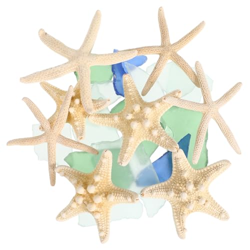OSALADI 1 Standardsituationen Seesternseet Set Strand-Schreibtisch- Ozeandekoration Stranddekoration für zu Hause Meerestierverzierung Aquariumdekoration Glas OSALADI 1 Standardsituationen Seesternseet Set Strand-Schreibtisch- Ozeandekoration Stranddekoration für zu Hause Meerestierverzierung Aquariumdekoration Glas von OSALADI