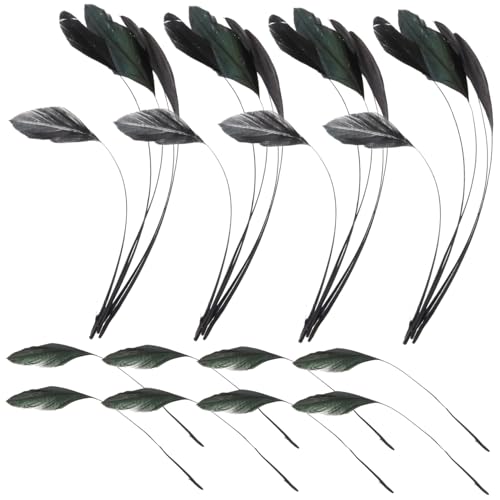 OSALADI 100 Stück Natürliche Schwarze Hühnerfedern Bastelfedern für DIY Dekoration Party Vase Füllung Langlebig Farbecht Vielseitig für Hochzeiten Bankette OSALADI 100 Stück Natürliche Schwarze Hühnerfedern Bastelfedern für DIY Dekoration Party Vase Füllung Langlebig Farbecht Vielseitig für Hochzeiten Bankette von OSALADI
