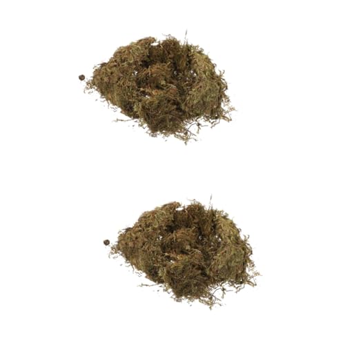 OSALADI 2 Sätze Moosbettwäsche Konserviertes Moos Blumentopf Natürliches Moos Gartenarbeit Getrocknetes Moos Szene Natürliches Moos Live Moos Flechte Pflanzer Moos 2 Packungen * 2 OSALADI 2 Sätze Moosbettwäsche Konserviertes Moos Blumentopf Natürliches Moos Gartenarbeit Getrocknetes Moos Szene Natürliches Moos Live Moos Flechte Pflanzer Moos 2 Packungen * 2 von OSALADI