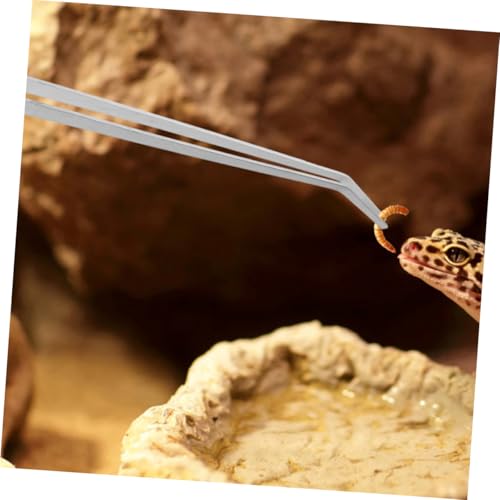 OSALADI 2 Stück Teiliges Aquarium Futterpinzetten Extra Lang Gerade Gebogen Metall Futterzange Terrarien Reptilienpflege Sichere Wasserqualität Langlebig Vielseitig Einsetzbar von OSALADI