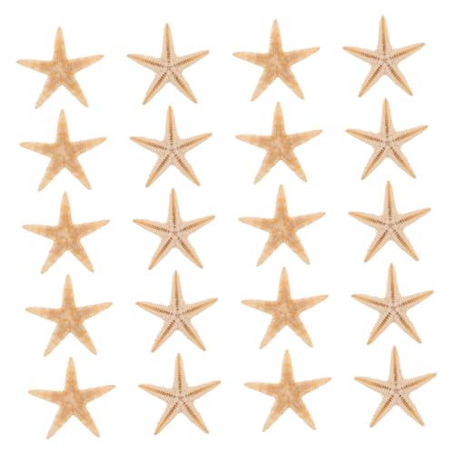 OSALADI 20stücke Mini Dekorationen Für -projekte Natürliche Seesterne Für Kerzen Epoxidharz Und Strandthemen Für Hochzeiten Und Partys OSALADI 20stücke Mini Dekorationen Für -projekte Natürliche Seesterne Für Kerzen Epoxidharz Und Strandthemen Für Hochzeiten Und Partys von OSALADI
