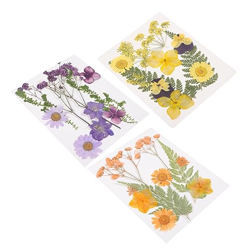 OSALADI 3 Sätze Trockenblumen DIY Basteln Natürliche Gepresste Blüten für Nageldesign Resinfüllung Vase Deko Scrapbooking Foto Requisiten Geschenkidee von OSALADI